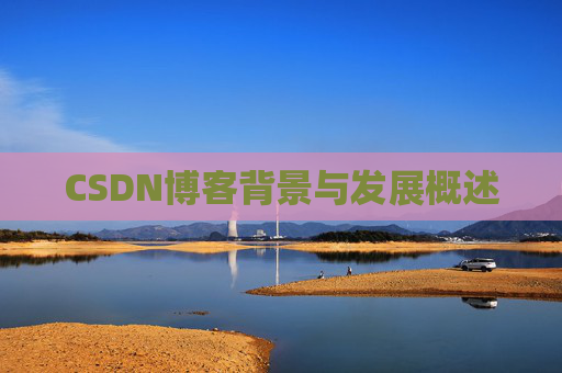 CSDN博客背景与发展概述